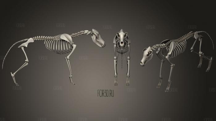 Wolf Skeleton 3d stl модель для ЧПУ